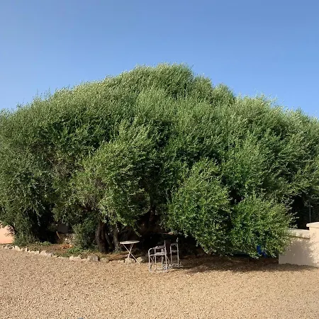 Stazzu Nuraghe Mannucciu *