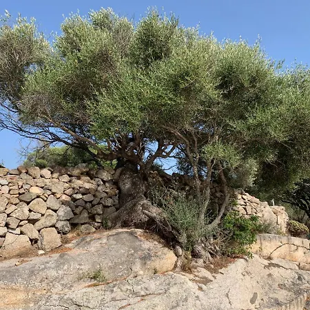 Stazzu Nuraghe Mannucciu Landhuis *