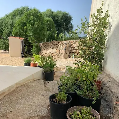 Stazzu Nuraghe Mannucciu Kır Evi *