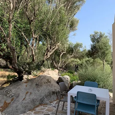 Stazzu Nuraghe Mannucciu Kır Evi