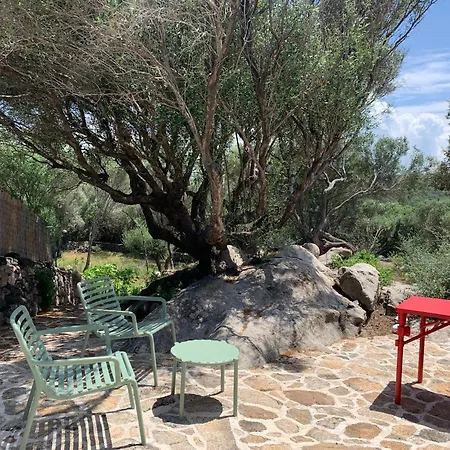 בית כפרי Stazzu Nuraghe Mannucciu *