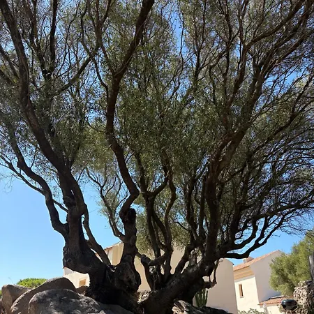 Landhuis Stazzu Nuraghe Mannucciu Rena Majore